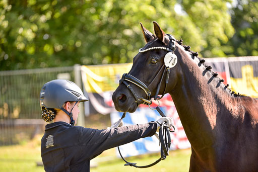 Goldene Schärpe Ponys in Hohenberg Krusemark 2024 | 14072024 Vormustern_231 