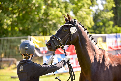 Goldene Schärpe Ponys in Hohenberg Krusemark 2024 | 14072024 Vormustern_232 