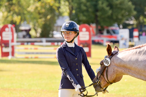 Goldene Schärpe Ponys in Hohenberg Krusemark 2024 | 14072024 Vormustern_233 