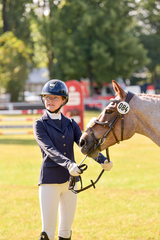 Goldene Schärpe Ponys in Hohenberg Krusemark 2024 | 14072024 Vormustern_234 