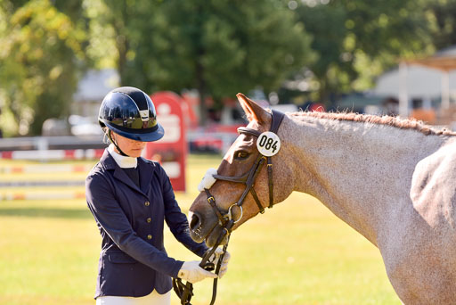 Goldene Schärpe Ponys in Hohenberg Krusemark 2024 | 14072024 Vormustern_235 