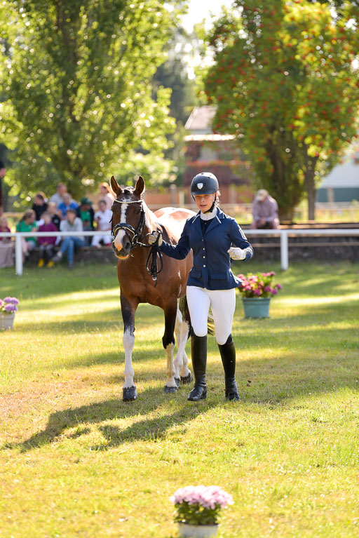 Goldene Schärpe Ponys in Hohenberg Krusemark 2024 | 14072024 Vormustern_236 