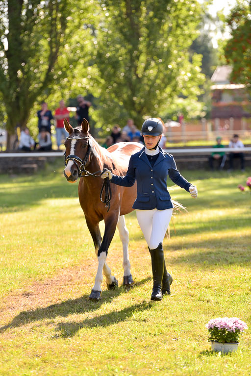 Goldene Schärpe Ponys in Hohenberg Krusemark 2024 | 14072024 Vormustern_237 