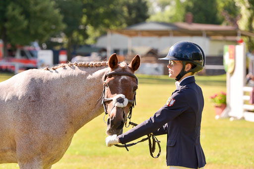 Goldene Schärpe Ponys in Hohenberg Krusemark 2024 | 14072024 Vormustern_238 