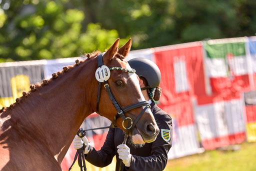 Goldene Schärpe Ponys in Hohenberg Krusemark 2024 | 14072024 Vormustern_240 