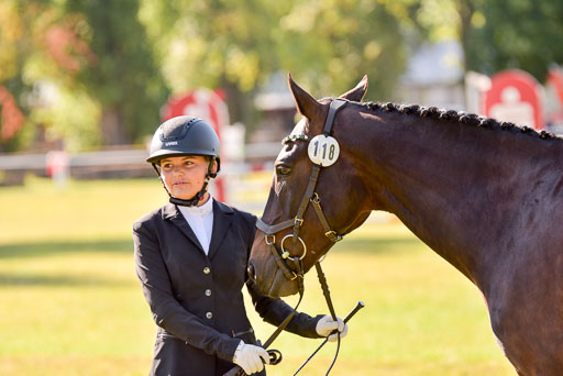 Goldene Schärpe Ponys in Hohenberg Krusemark 2024 | 14072024 Vormustern_241 