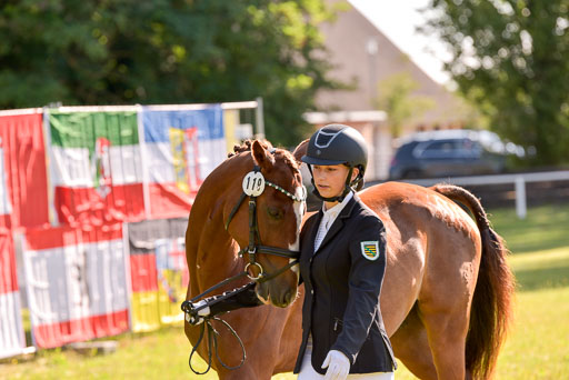 Goldene Schärpe Ponys in Hohenberg Krusemark 2024 | 14072024 Vormustern_244 