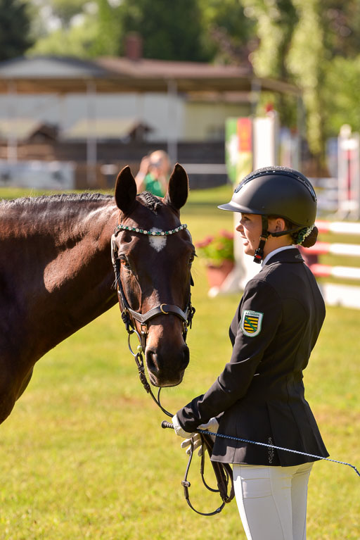 Goldene Schärpe Ponys in Hohenberg Krusemark 2024 | 14072024 Vormustern_248 