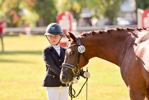 Goldene Schärpe Ponys in Hohenberg Krusemark 2024 | 14072024 Vormustern_250 