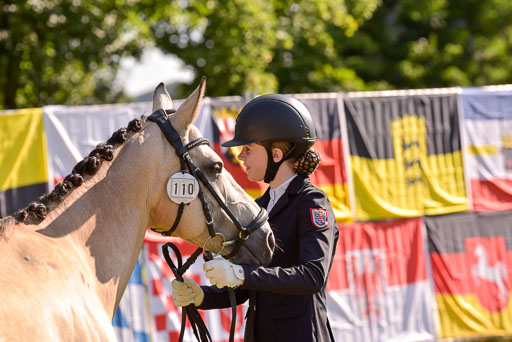 Goldene Schärpe Ponys in Hohenberg Krusemark 2024 | 14072024 Vormustern_251 