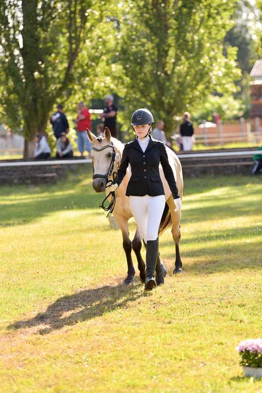 Goldene Schärpe Ponys in Hohenberg Krusemark 2024 | 14072024 Vormustern_253 