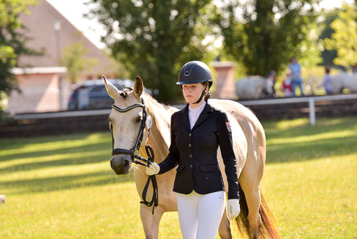 Goldene Schärpe Ponys in Hohenberg Krusemark 2024 | 14072024 Vormustern_255 
