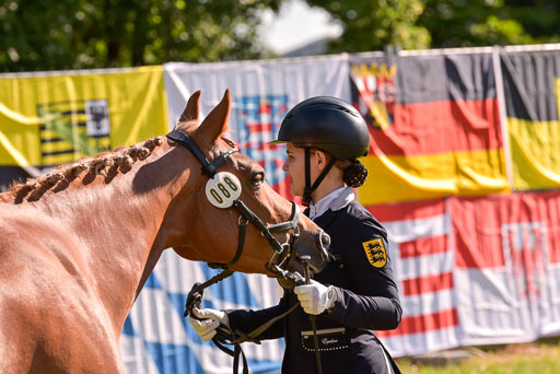 Goldene Schärpe Ponys in Hohenberg Krusemark 2024 | 14072024 Vormustern_259 