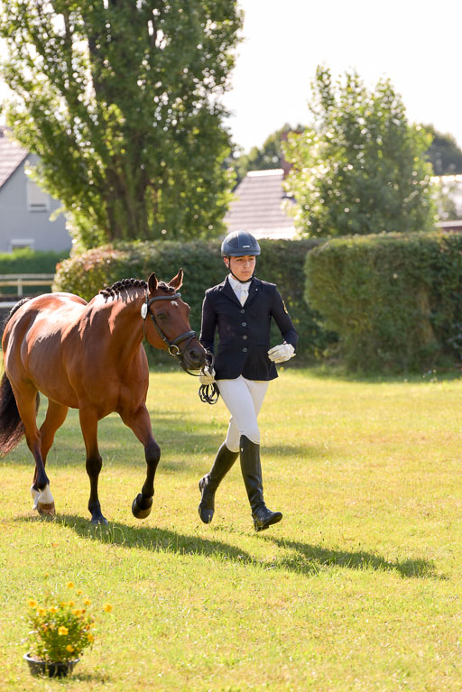 Goldene Schärpe Ponys in Hohenberg Krusemark 2024 | 14072024 Vormustern_260 