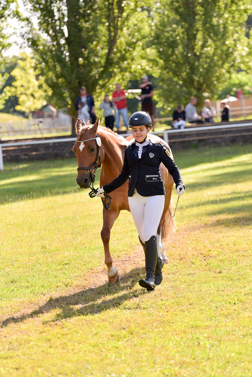 Goldene Schärpe Ponys in Hohenberg Krusemark 2024 | 14072024 Vormustern_262 