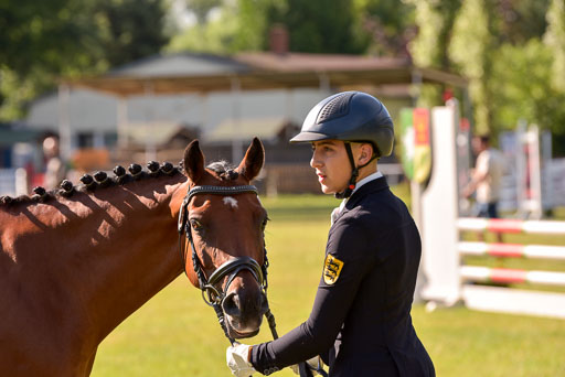 Goldene Schärpe Ponys in Hohenberg Krusemark 2024 | 14072024 Vormustern_264 