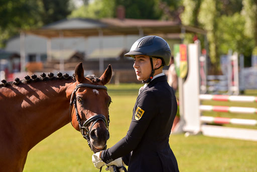 Goldene Schärpe Ponys in Hohenberg Krusemark 2024 | 14072024 Vormustern_265 