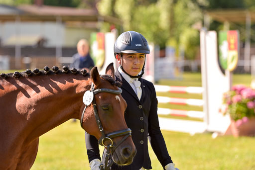 Goldene Schärpe Ponys in Hohenberg Krusemark 2024 | 14072024 Vormustern_266 