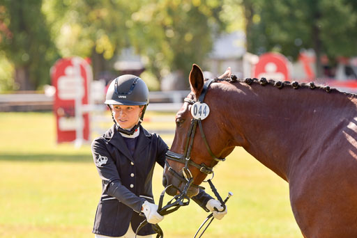 Goldene Schärpe Ponys in Hohenberg Krusemark 2024 | 14072024 Vormustern_267 
