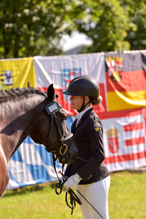 Goldene Schärpe Ponys in Hohenberg Krusemark 2024 | 14072024 Vormustern_269 