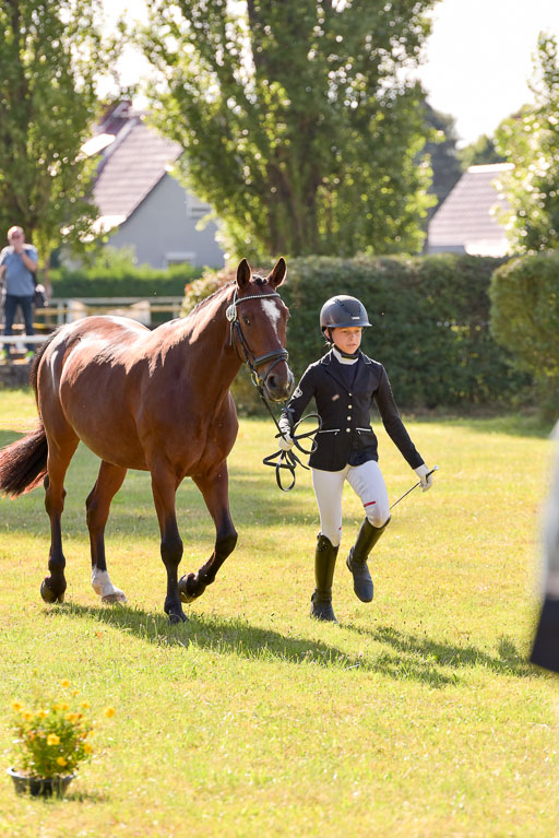 Goldene Schärpe Ponys in Hohenberg Krusemark 2024 | 14072024 Vormustern_270 