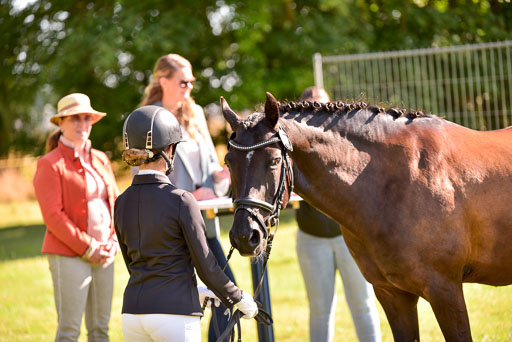 Goldene Schärpe Ponys in Hohenberg Krusemark 2024 | 14072024 Vormustern_273 