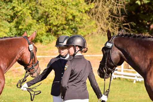 Goldene Schärpe Ponys in Hohenberg Krusemark 2024 | 14072024 Vormustern_275 
