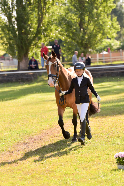 Goldene Schärpe Ponys in Hohenberg Krusemark 2024 | 14072024 Vormustern_279 