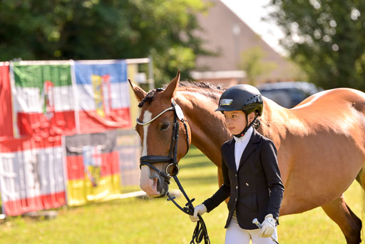 Goldene Schärpe Ponys in Hohenberg Krusemark 2024 | 14072024 Vormustern_281 