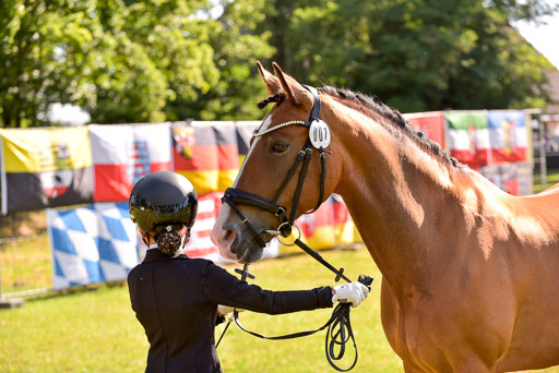 Goldene Schärpe Ponys in Hohenberg Krusemark 2024 | 14072024 Vormustern_283 
