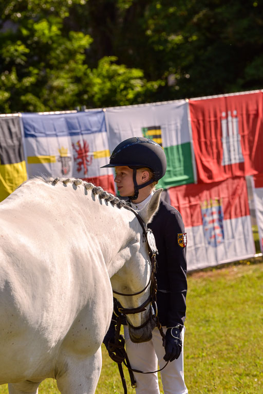 Goldene Schärpe Ponys in Hohenberg Krusemark 2024 | 14072024 Vormustern_287 