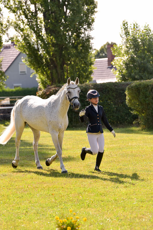 Goldene Schärpe Ponys in Hohenberg Krusemark 2024 | 14072024 Vormustern_288 
