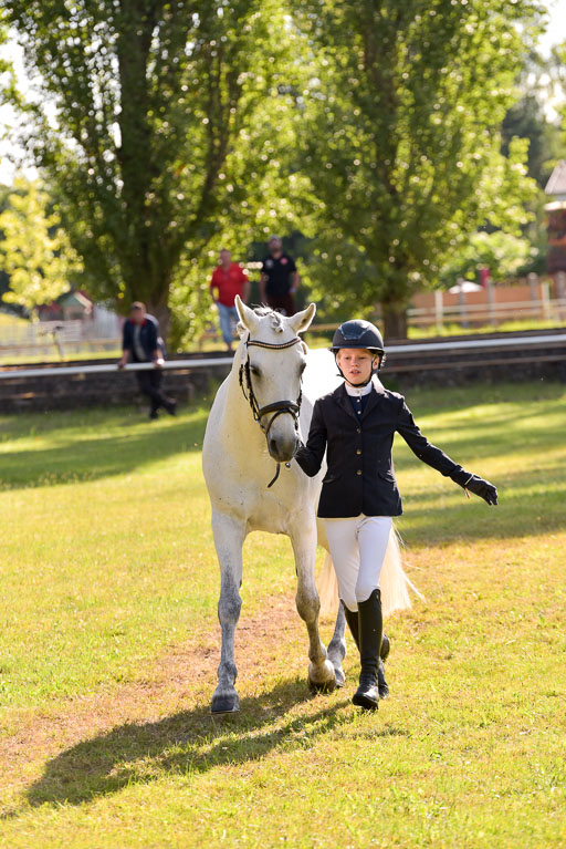 Goldene Schärpe Ponys in Hohenberg Krusemark 2024 | 14072024 Vormustern_290 