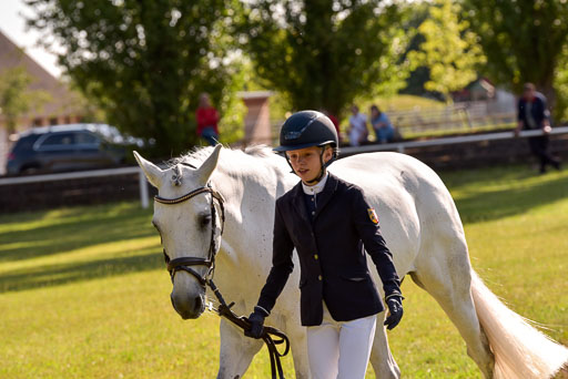 Goldene Schärpe Ponys in Hohenberg Krusemark 2024 | 14072024 Vormustern_291 