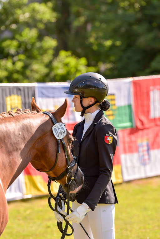 Goldene Schärpe Ponys in Hohenberg Krusemark 2024 | 14072024 Vormustern_293 