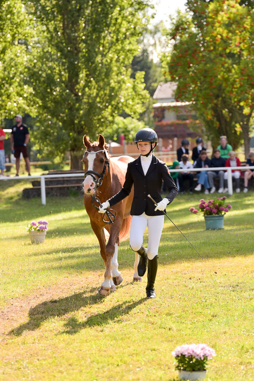 Goldene Schärpe Ponys in Hohenberg Krusemark 2024 | 14072024 Vormustern_297 