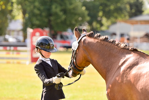 Goldene Schärpe Ponys in Hohenberg Krusemark 2024 | 14072024 Vormustern_298 