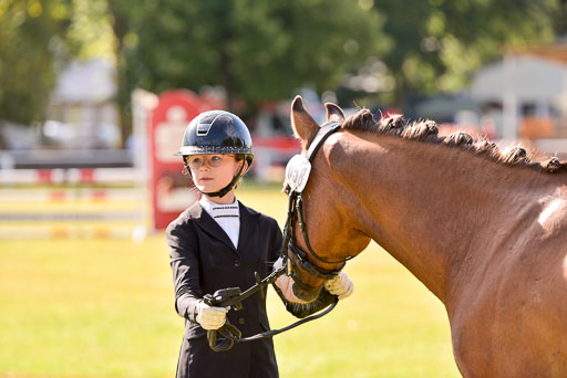 Goldene Schärpe Ponys in Hohenberg Krusemark 2024 | 14072024 Vormustern_299 