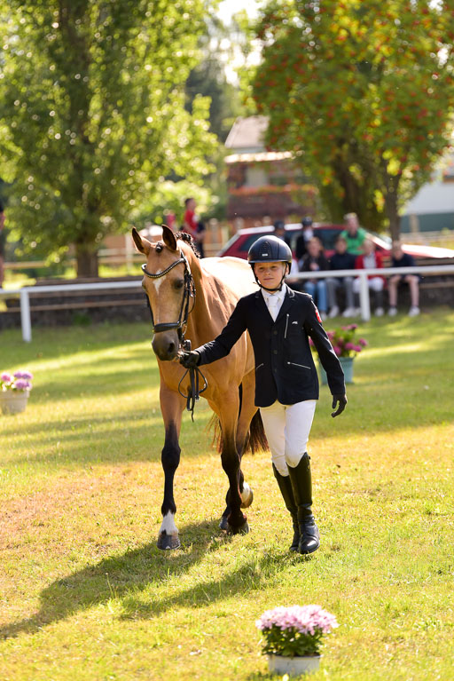 Goldene Schärpe Ponys in Hohenberg Krusemark 2024 | 14072024 Vormustern_300 