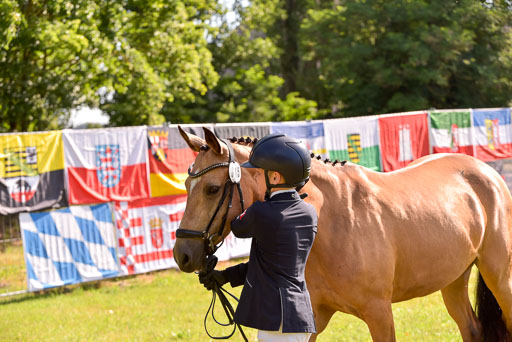 Goldene Schärpe Ponys in Hohenberg Krusemark 2024 | 14072024 Vormustern_305 