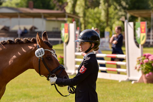 Goldene Schärpe Ponys in Hohenberg Krusemark 2024 | 14072024 Vormustern_306 