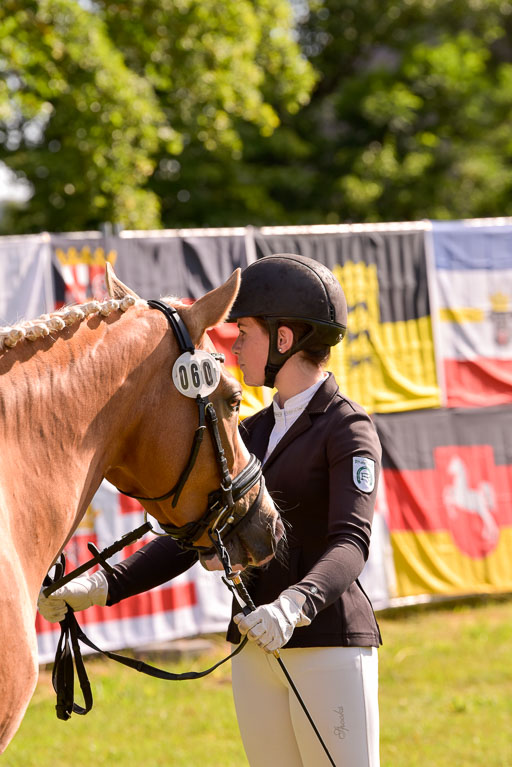 Goldene Schärpe Ponys in Hohenberg Krusemark 2024 | 14072024 Vormustern_308 