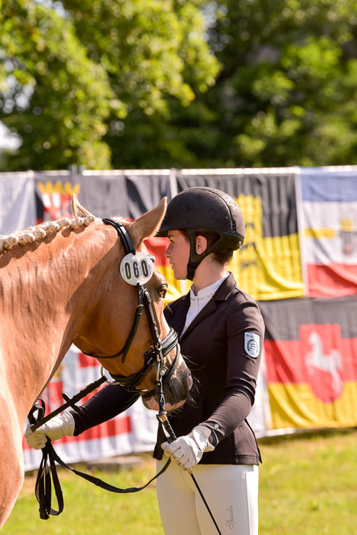 Goldene Schärpe Ponys in Hohenberg Krusemark 2024 | 14072024 Vormustern_309 