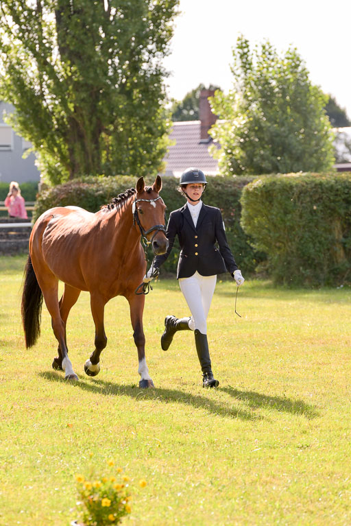 Goldene Schärpe Ponys in Hohenberg Krusemark 2024 | 14072024 Vormustern_310 