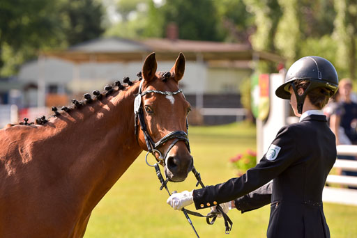 Goldene Schärpe Ponys in Hohenberg Krusemark 2024 | 14072024 Vormustern_311 