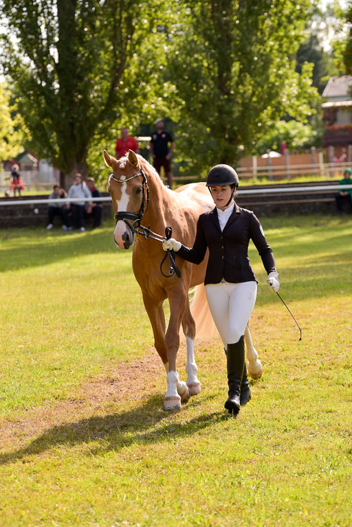 Goldene Schärpe Ponys in Hohenberg Krusemark 2024 | 14072024 Vormustern_313 