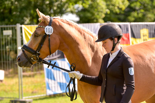 Goldene Schärpe Ponys in Hohenberg Krusemark 2024 | 14072024 Vormustern_314 