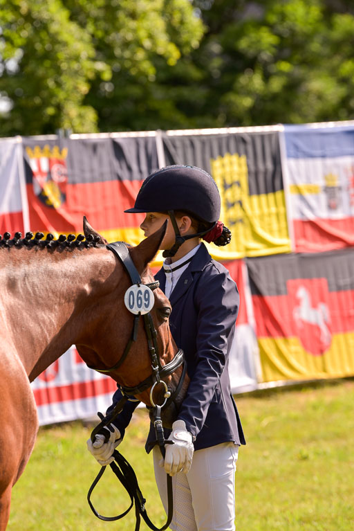 Goldene Schärpe Ponys in Hohenberg Krusemark 2024 | 14072024 Vormustern_319 