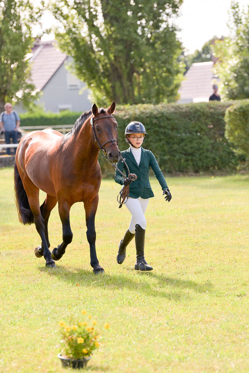 Goldene Schärpe Ponys in Hohenberg Krusemark 2024 | 14072024 Vormustern_320 