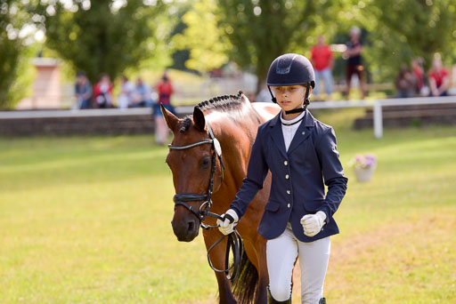 Goldene Schärpe Ponys in Hohenberg Krusemark 2024 | 14072024 Vormustern_322 